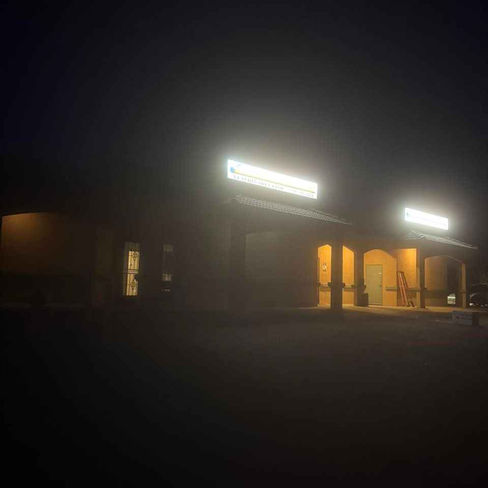 Lighting Projects photo 13 by Avena & Sons Electric